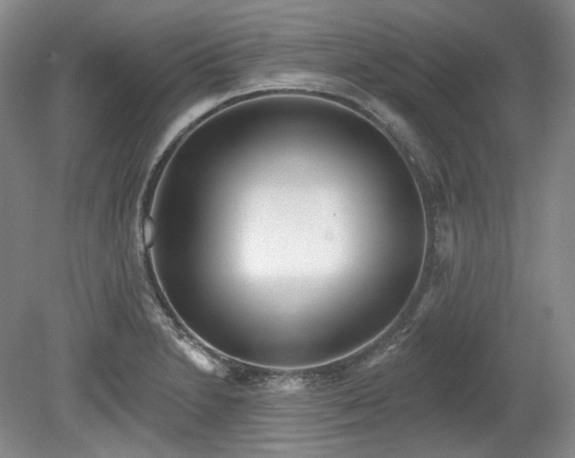 X0000079581230200612081527