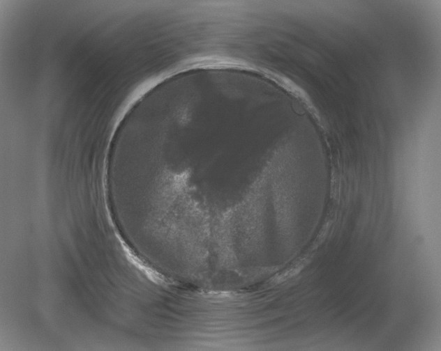 X0000079581231200612081527