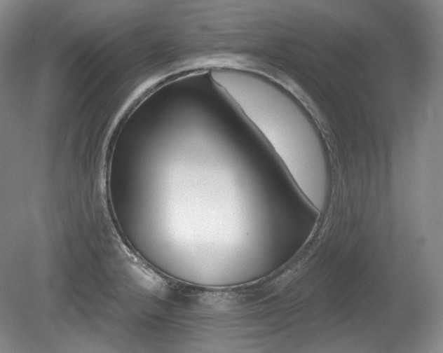 X0000079581232200612081527