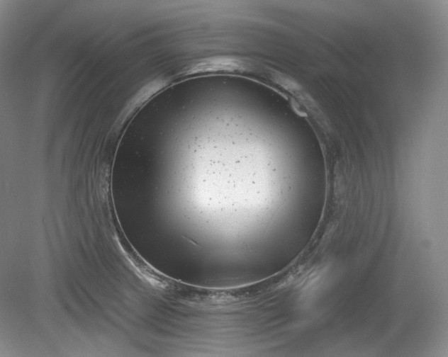 X0000079581233200612081527