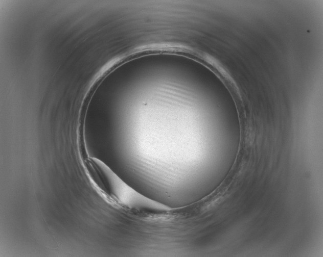 X0000079581237200612081527
