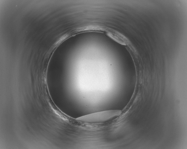 X0000079581241200612081527