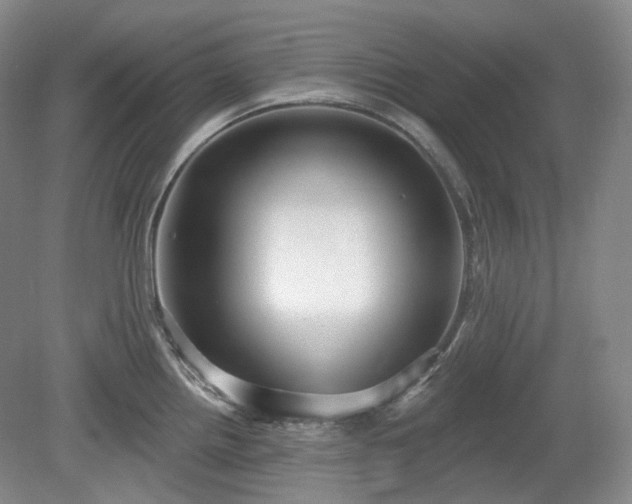 X0000079581242200612081527