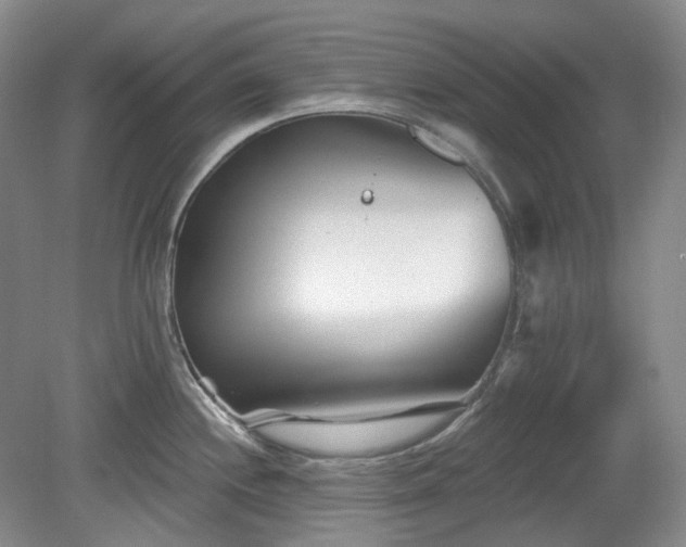 X0000079581244200612081527