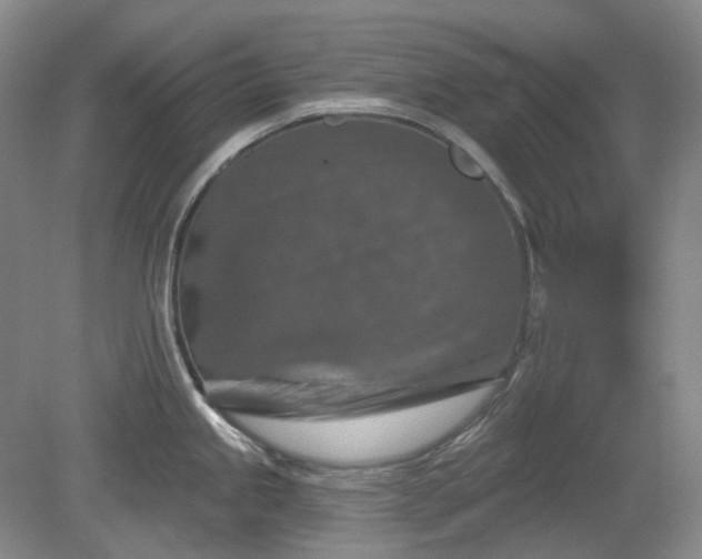 X0000079581245200612081527