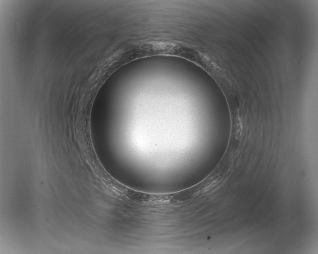X0000079581249200612081526