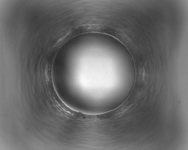 X0000079581250200612081526