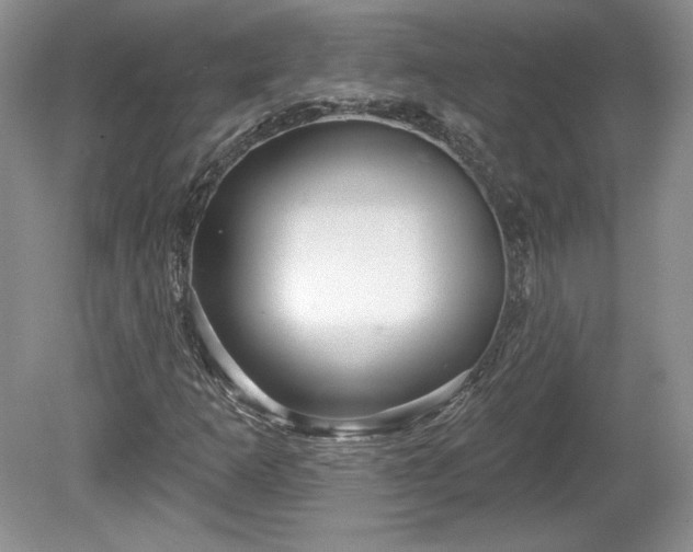 X0000079581253200612081526