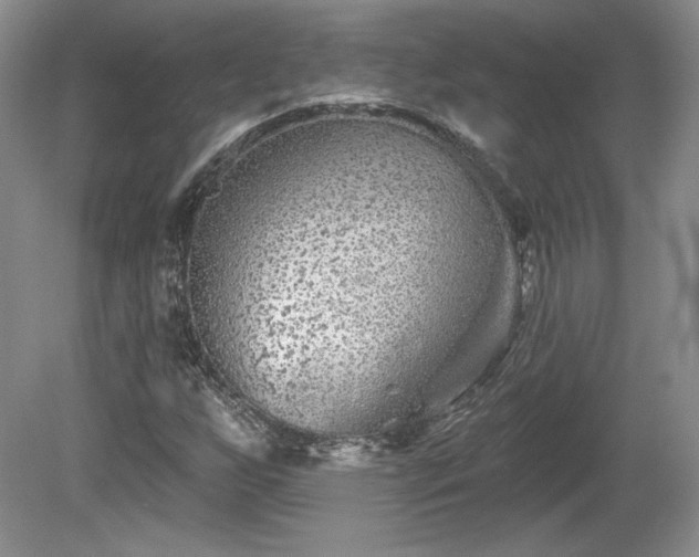 X0000079581255200612081526