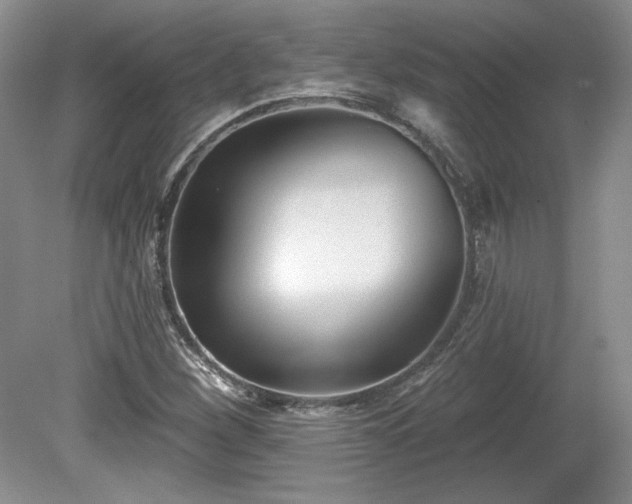 X0000079581260200612081526