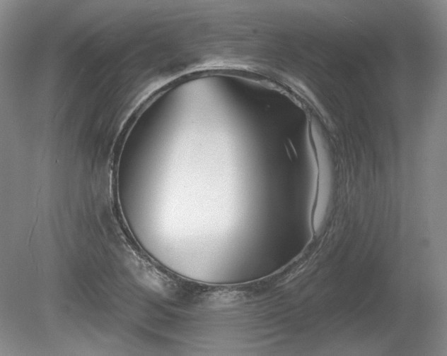 X0000079581268200612081526