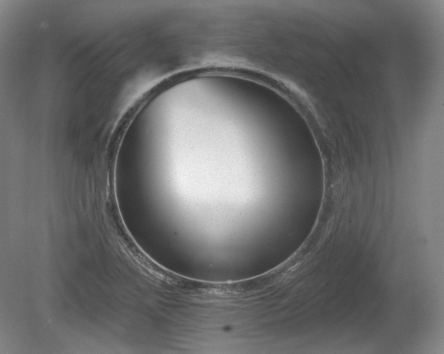 X0000079581271200612081526