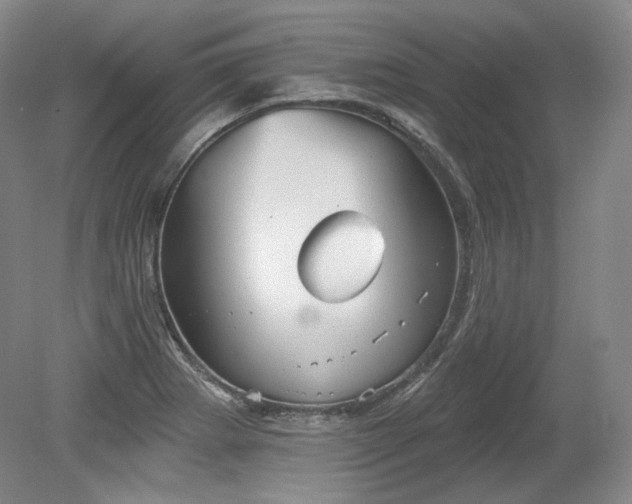X0000079581273200612081526