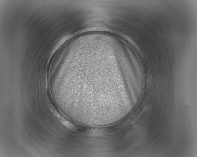 X0000079581274200612081526