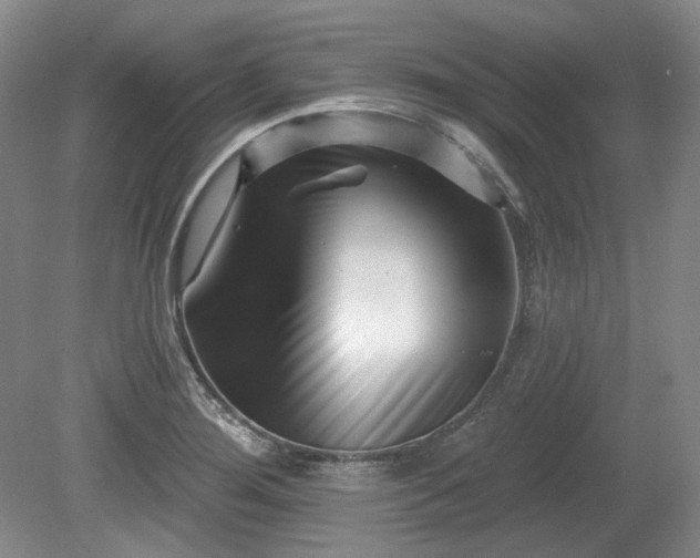 X0000079581276200612081526