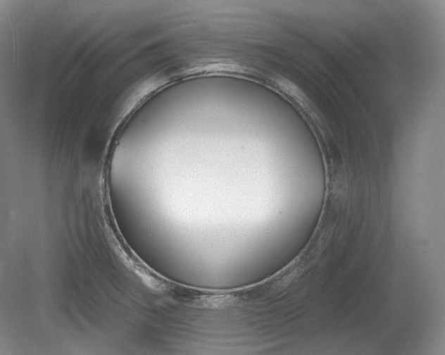 X0000079581282200612081526