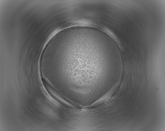 X0000079581283200612081526