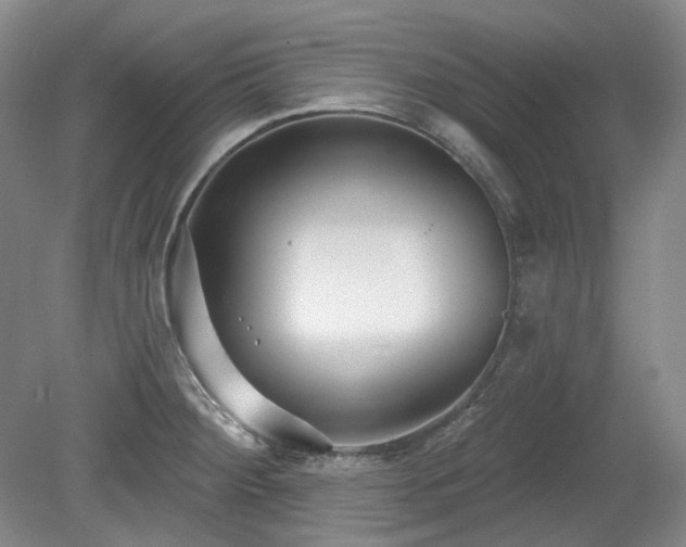 X0000079581284200612081526