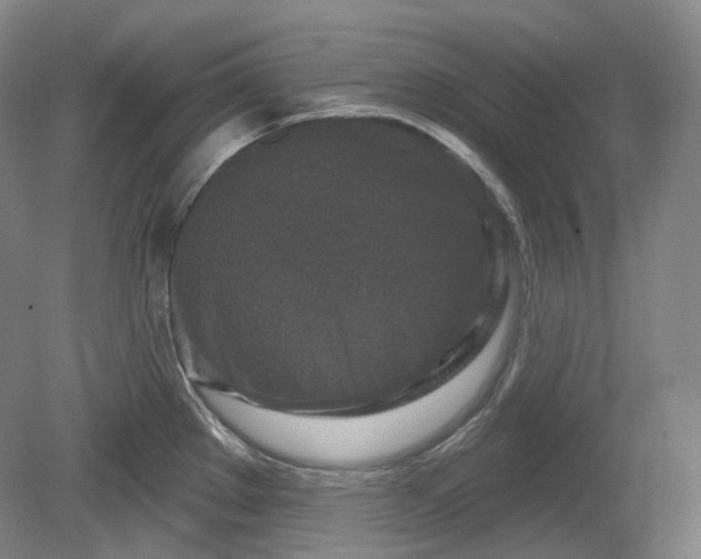 X0000079581289200612081526