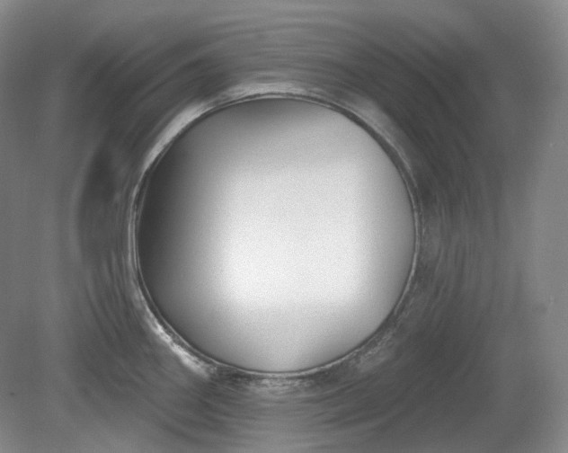 X0000079581290200612081526