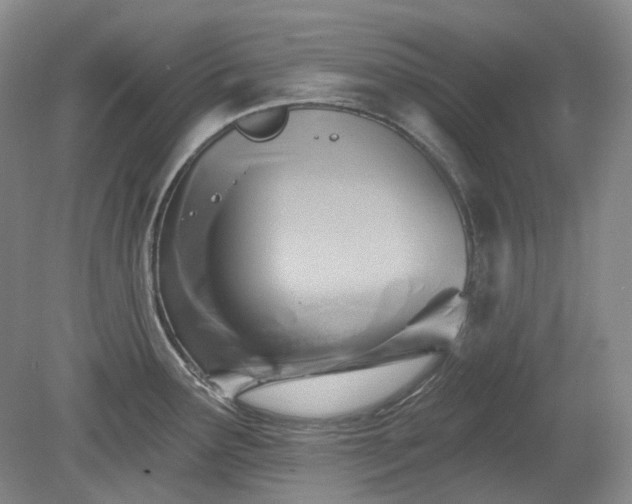 X0000079581291200612081526