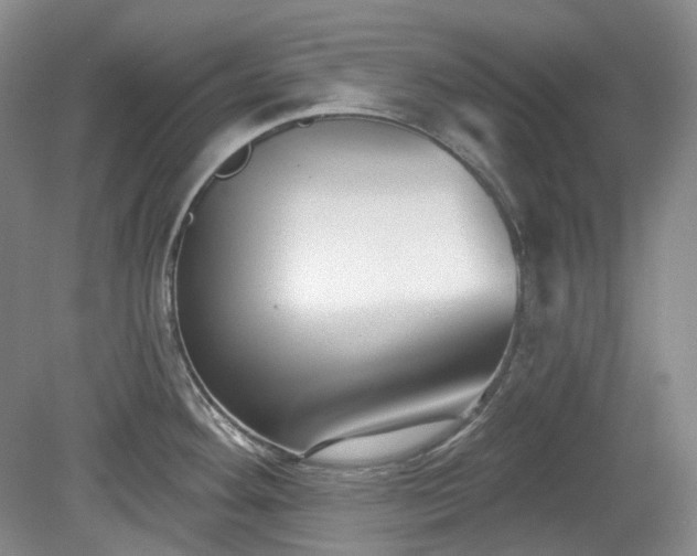 X0000079581292200612081525