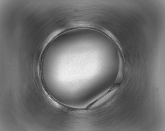 X0000079581293200612081525