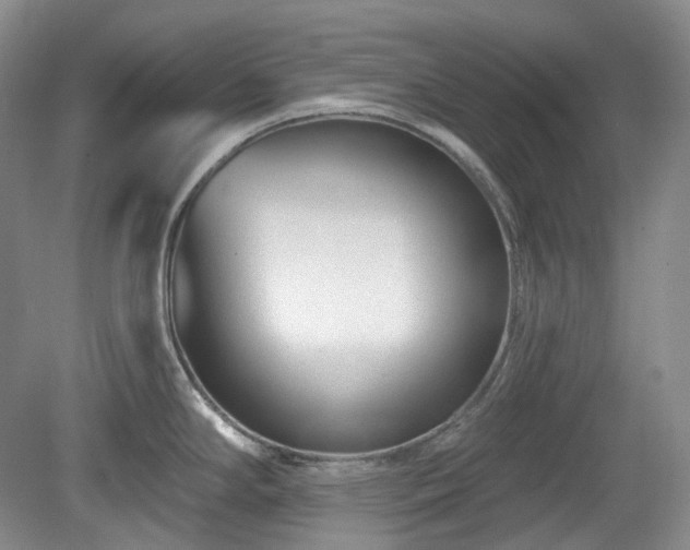 X0000079581294200612081525