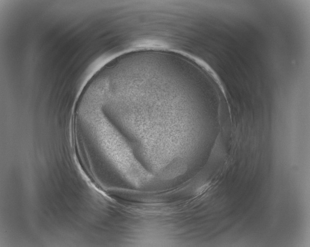 X0000079581295200612081525