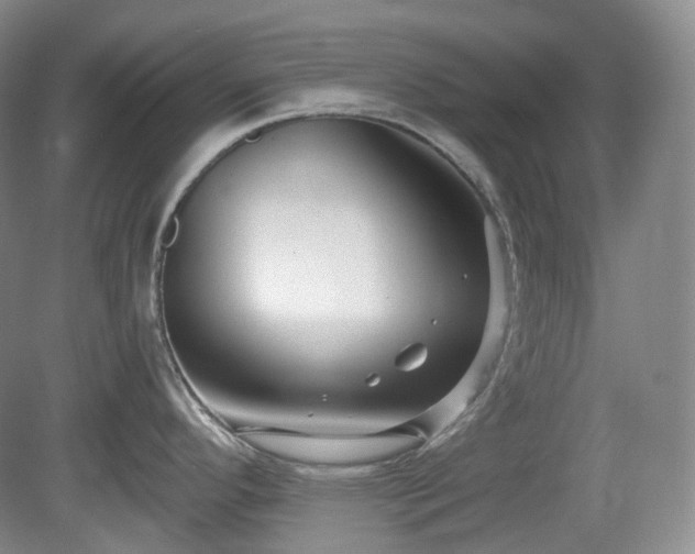 X0000079581296200612081525
