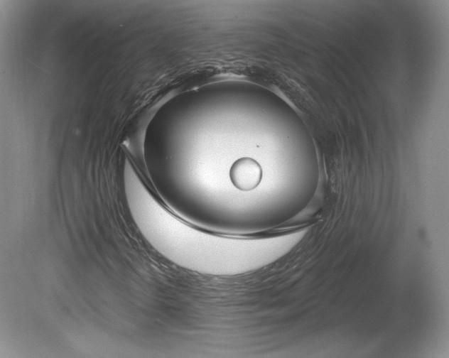 X0000079581298200612081525