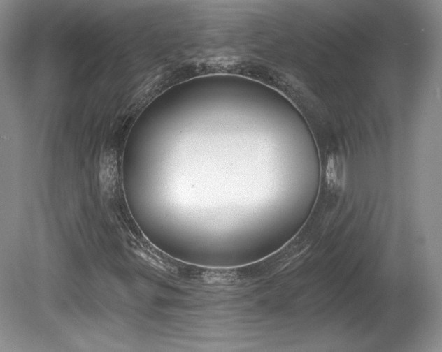 X0000079581299200612081525