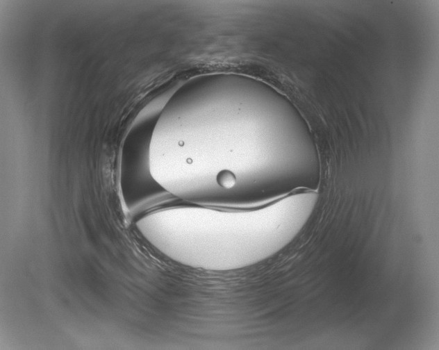 X0000079581300200612081525