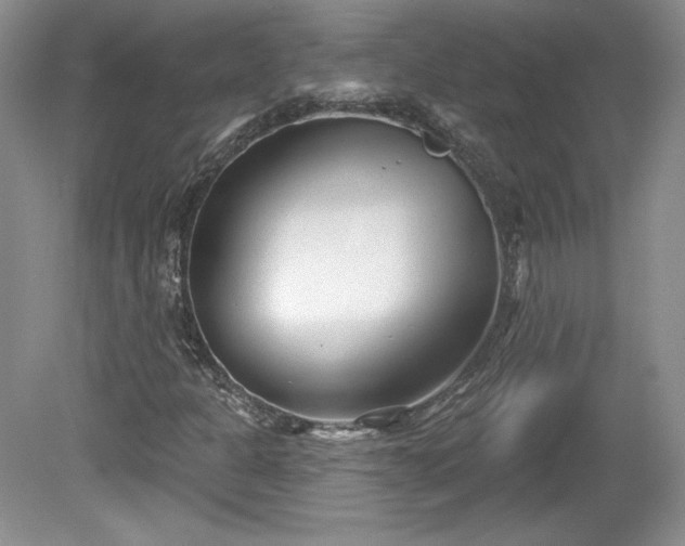 X0000079581301200612081525