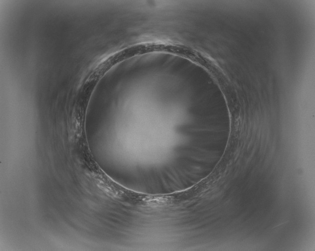X0000079581303200612081525