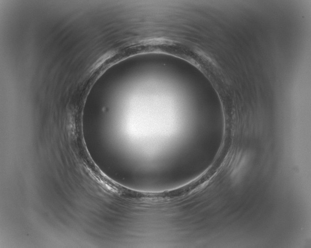 X0000079581305200612081525