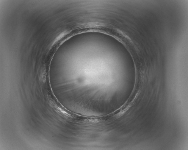X0000079581306200612081525