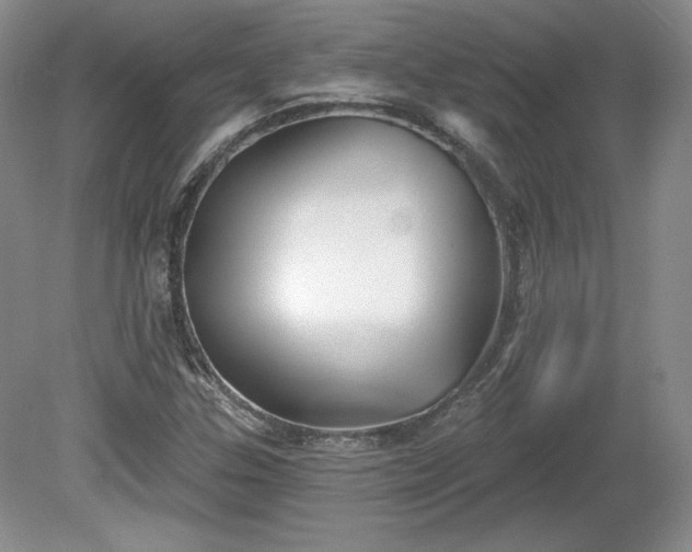 X0000079581307200612081525
