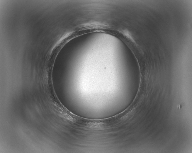 X0000079581309200612081525