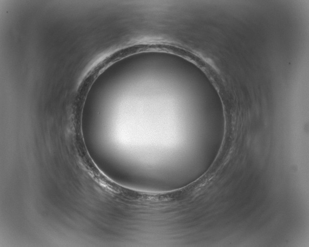 X0000079581311200612081525