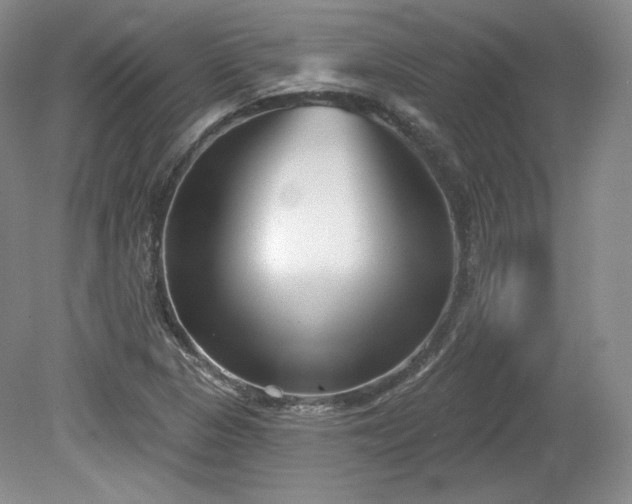 X0000079581313200612081525