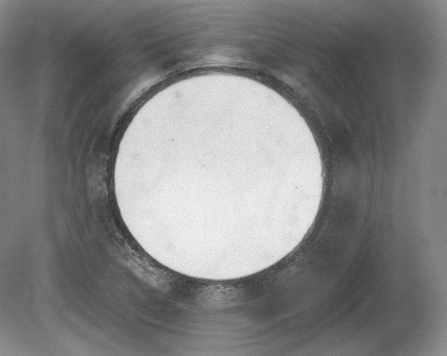X0000079581314200612081525
