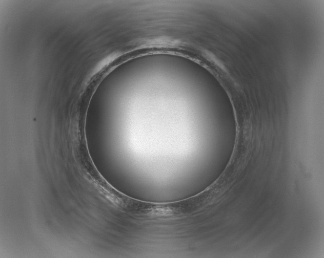 X0000079581315200612081525