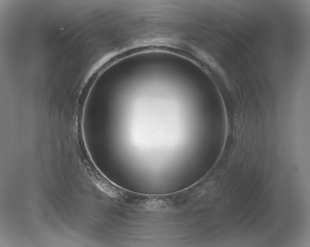 X0000079581316200612081525