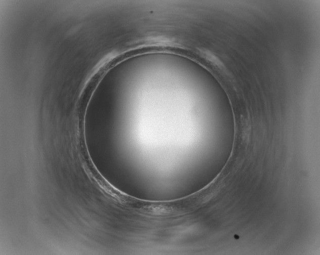 X0000079581318200612081525