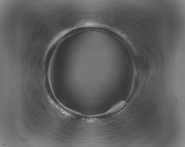 X0000079581319200612081525