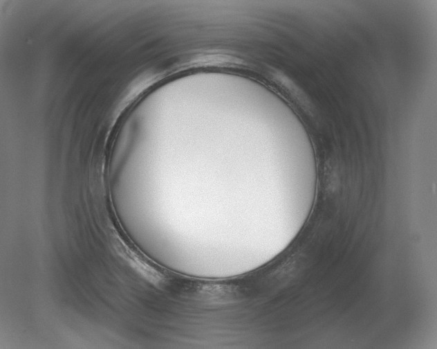 X0000079581322200612081525