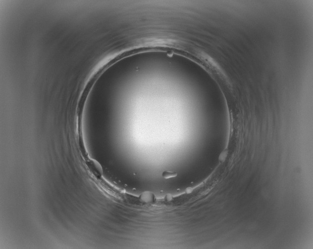 X0000079581324200612081525