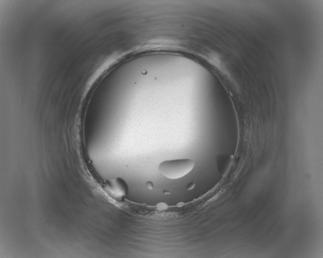 X0000079581325200612081525