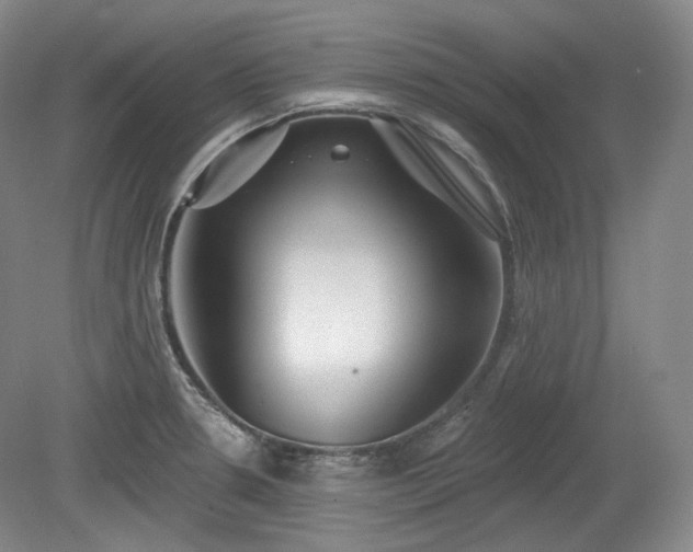 X0000079581330200612081525